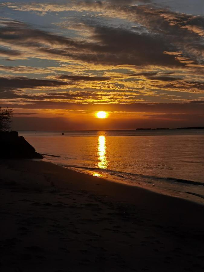 Gîte 2 à 12 personnes La côte d'Argent plage à pied La Tremblade Esterno foto